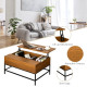 Lift Top Coffee Table with Hidden Storage Compartment Lift Tabletop Center Table for Living Room, Teak