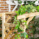 Garden Arch with 2 Person Bench, Wooden Garden Arbor Archway Trellis for Climbing Plants, Lawn, Backyard Decor, Natural