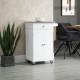 Kitchen Cart, Small Kitchen Island, Stainless Steel Top Utility Trolley on Wheels with Storage Drawer for Dining Room, Kitchen (White)