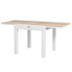 Extendable Patio Dining Table, Aluminum Frame Outdoor Patio Table with Faux Wood Top for Garden Backyard, Natural Wood