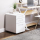 Lockable File Cabinet, Steel Filing Cabinet on Wheels for Legal, A4, Letter Size, Home Office