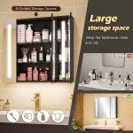 LED Medicine Cabinet with Mirror, Wall Mounted Bathroom Mirror Cabinet with Adjustable Shelves, High Gloss Black