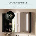 LED Medicine Cabinet with Mirror, Wall Mounted Bathroom Mirror Cabinet with Adjustable Shelves, High Gloss Black