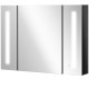 LED Medicine Cabinet with Mirror, Wall Mounted Bathroom Mirror Cabinet with Adjustable Shelves, High Gloss Black