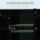 LED Medicine Cabinet with Mirror, Wall Mounted Bathroom Mirror Cabinet with Adjustable Shelves, High Gloss Black