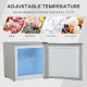 Compact Mini Freezer with Adjustable Temperature