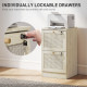 2 Drawer Filing Cabinet with Lock, Boho File Cabinet for A4 Letter Size Files with Decorative Rattan Accents, Oak