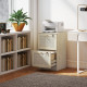 2 Drawer Filing Cabinet with Lock, Boho File Cabinet for A4 Letter Size Files with Decorative Rattan Accents, Oak