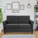 2-Seat Sofa Two-Seater Couch with Armrests and Wood Legs for Living Room, Bedroom, Dark Grey