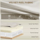 3 Seater Sofa, Velvet Upholstered Couch with Spring Cushions, Rubber Wood Legs and 2 Pillows, Cream White