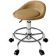 PU Leather Rolling Stool, Height Adjustable Swivel Salon Chair with Backrest and Foot Rest for Spa, Tattoo, Light Brown