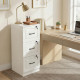 3 Drawer File Cabinet with Lock, Vertical Filing Cabinet with Adjustable Hanging Bars for A4 and Letter Size, White
