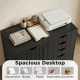 Mobile Lateral Filing Cabinet with 5 Drawers, Printer Stand with Power Outlets and USB Ports for Home Office, Black