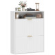 Shoe Cabinet with 2 Flip Drawers Narrow Shoe Storage Cabinet with Top Shelf for Entryway Hallway White