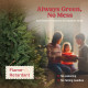 5 ft Artificial Christmas Tree with Dense Realistic Branches, Full Ponderosa Fir, Hinged Xmas Tree, Easy Assembly