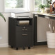 Small Filing Cabinet with 2 Drawers, Lockable Home Office Storage Cabinets on Wheels for A4, Letter Size, Black