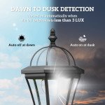 2 Piece LED Garden Lights Lamp Post Solar Powered Auto Switch Outdoor Lantern Patio Pathway Walkway Water-Resist 6 Hours Black