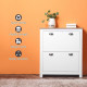 Modern Shoe Cabinet with 2 Flip Drawers and Adjustable Shelves, 12 Pair Shoe Storage Organizer for Hallway, White