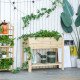 Raised Garden Bed with Legs, Elevated Box Planter with Storage Shelf, Bed Liner for Backyard Patio, Natural Wood