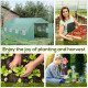 20x10x7ft Walk-in Steeple Greenhouse Outdoor Backyard Plant Seed Growth Shed Tunnel Warm House with 2 Anchor Way Green