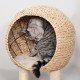 39" H Cat Tree with Sisal Scratching Post, Condo, Plush Perch, Hanging Rope and Hanging Ball, Beige