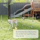 Set of 4 Dog Agility Training Equipment Adjustable Jump Bar Pet Exercise Kit with Carrying Bag (White)