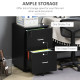 2 Drawer File Cabinet with Lock, Small Rolling Filing Cabinet for A4, Letter-Size Documents, Printer Stand for Home Office, 17