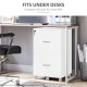 2 Drawer File Cabinet with Lock, Small Rolling Filing Cabinet for A4, Letter-Size Documents, Printer Stand for Home Office, 17
