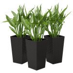 Set of 3 Tall Plant Stand, Outdoor & Indoor Flower Pot Set for Front Door, Entryway, Patio and Deck, Black
