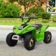 Kids Ride-On ATV, 6V Battery Powered Quad Car with Forward/Reverse Switch, for Boys & Girls 18–36 Months, Green