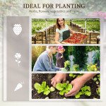 Steel Raised Garden Bed, Set of 5 Large Box Planters for Outdoor Plants Vegetables Flowers Herbs, 8x8x1ft, Green