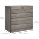 2 Drawer File Cabinet with Lock, Office Filing Cabinet, Hanging Bar for Letter Size, Home Office, Grey
