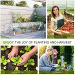 13' x 3' x 2.5' Portable Mini Tunnel Greenhouse with 4 Zipped Doors, Easy Assembly, Clear