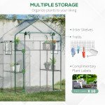 Walk-in Greenhouse with 4 Shelves, 56" x 29" x 77" Mini Greenhouse ,Roll-Up Door, Mesh Windows for Seedling, Flowers, Plant Growing, Clear