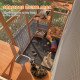 71" x 39" x 71" Cat Cage, Large Outdoor Wooden Cat Patio with 6 Balanced Platforms and Asphalt Roof, Orange