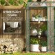Portable Mini Greenhouse Green House with 3 Tier Shelves, Reinforced Cover, Roll-up Doors, 56.3" x 18.1" x 59.4"