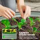 Set of 2 Raised Garden Bed, Metal Planter Box with Safety Edging, Easy-to-assemble Stock Tank, Green