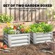 Set of 2 Raised Garden Bed, 2 x 2 x 1ft Steel Planters for Outdoor Plants, Elevated Planter Box, Easy-to-assemble, for Flowers Herbs and Vegetables, Silver