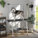Foldable Dog Grooming Table with Adjustable Grooming Arms, Storage Shelf, Two Nooses, 42" x 24" x 61", Black