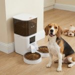 Automatic Cat Feeder for 2 Cats, 2.4G WiFi Pet Food Dispenser 6L APP Control