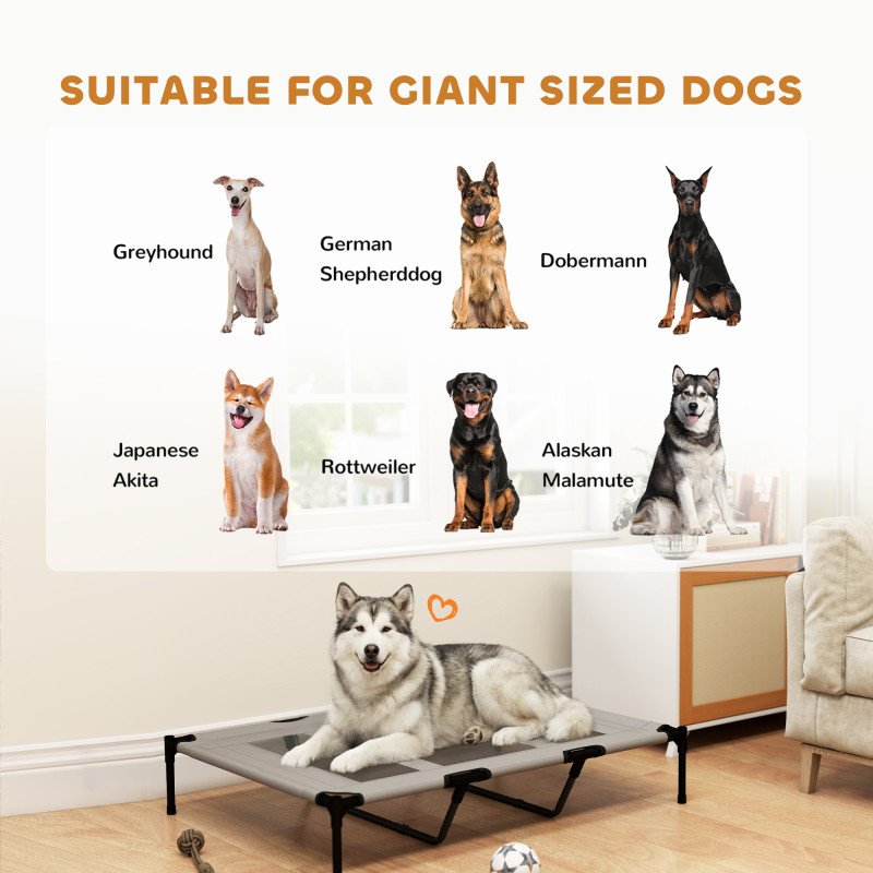 Elevated Dog Bed, Raised Dog Cot for XL Sized Dogs, Indoor & Outdoor, 48" x 36" x 9", Light Grey
