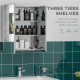 Wall Mounted Medicine Cabinet with Mirror Wall Mirror Cabinet with Hinged Doors 3-Tier Storage Shelves Silver