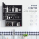 Bathroom Medicine Cabinet, Wall-Mounted Mirror Cabinet with Single Door, Storage Shelves and Stainless Steel Frame for Laundry Room, Black
