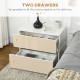 Modern Nightstand, Bedside Table with 2 Drawers, USB Powered RGB LED Lights for Bedroom, White