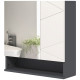 Medicine Cabinet, Wall Mounted Bathroom Mirror Cabinet with Mirrored Door, Adjustable Shelf and Soft Close Mechanism, Light Grey
