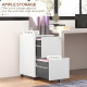 Vertical Steel Filing Cabinet on Wheels, 2-Drawer Lockable File Cabinet with Adjustable Hanging Bar for A4, Legal and Letter Size, White