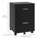 Mobile Filing Cabinet, Vertical File Cabinet with 2 Drawers, Wheels, for Letter or A4 File, Black