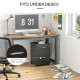 Mobile Filing Cabinet, Vertical File Cabinet with 2 Drawers, Wheels, for Letter or A4 File, Black