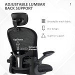 Office Chair, Mesh Computer Desk Chair with Adjustable Headrest, 4D Lumbar Support, Flip-up Arm, Black