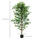 Set of 2 6ft Artificial Trees Ficus, Indoor Fake Plants with Pot, for Home Decor